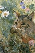 unknow artist Cats with fagelunge in mouth oil painting reproduction
